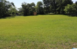 5064 BIRMINGPORT ROAD lot: 000, SYLVAN SPRINGS, AL 35118