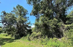 2530 Oleander Ter, Lanark Village, FL 32323