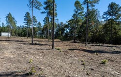 Lot 8 Millville Road, Lawrenceville, VA 23968