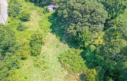 1683 Dove Drake, Royston, GA 30662