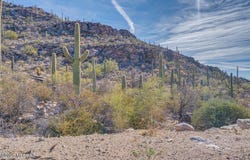 4405 W Random Rock Place, Marana, AZ 85658