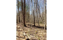 311 Stewart Landing Rd, Stratford, NY 13470