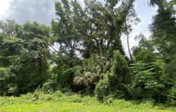 17154 NE 36TH AVENUE, CITRA, FL 32113