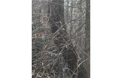 Grove Ave, Moose Lake, MN 55767