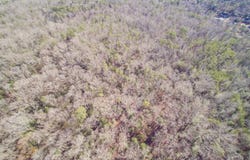 Morgan Drive, Lexington, SC 29072