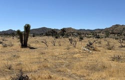 58225 San Andreas Road, Yucca Valley, CA 92284