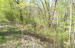 Bannick Springs Road, Whittier, NC 28789