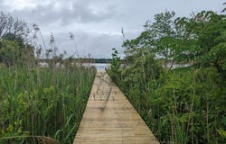 11770 OVER CREEK COURT, ISSUE, MD 20645