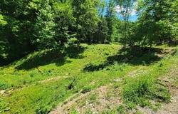 Tract 7 Sandy Valley Rd, Rogersville, TN 37857