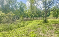 234 Hartfield Rd, Columbia, MS 39429