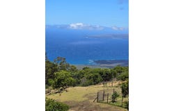 2239 UPPER KANAIO RD, Kula, HI 96790