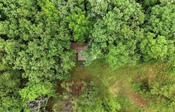 377 Brush Creek Road, Plainview, AR 72857