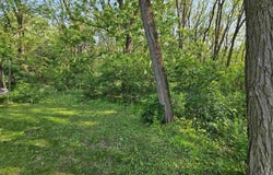 215 E 7th Street, Westfield, WI 53964-9129