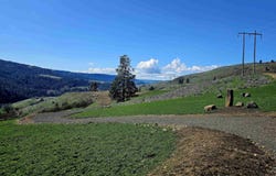 Lot 5 Quiet Hills Lane, Lenore, ID 83541