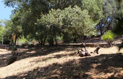 0 Woodcliffe Road, Pasadena, CA 91105