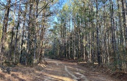 Ararat Rd Tract C, Toxey, AL 36921