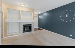 1423 W Remington Lane, Round Lake, IL 60073