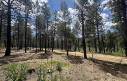 154 Calle Retiro Road, Rociada, NM 87742