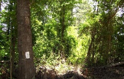 263 LR 182, Ashdown, AR 71822