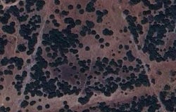 Tbd PR 16025, Hamilton, TX 76538