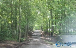 139 County Road 638, Pisgah, AL 35765