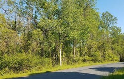 13101 VALLEY Drive, ROCKVILLE, MD 20850