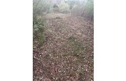 Sulphur Springs Road, Jonesville, VA 24263