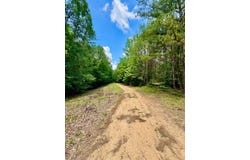 0 Whaley Rd., Double Springs, AL 35553