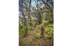 292nd Street, Redding, IA 50860