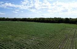 25 Ac FM 3132, Klondike, TX 75448