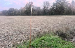 0 County Road 237, Bloomfield, MO 63825