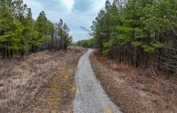 Cedar Grove Road, Salem, KY 42078