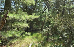13th Drive, Friendship, WI 53934