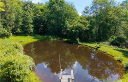 Schneider Road, Fillmore, NY 14735