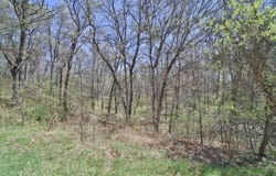 Cedar St, Breezy Point, MN 56472
