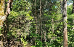 500 EAST TRAIL, KALKASKA, MI 49646