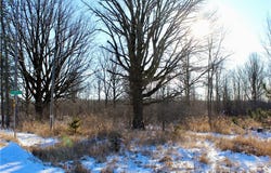 0 300th Avenue, Holcombe, WI 54745