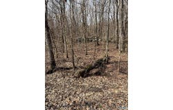 0001 Rock Spring Road, Owens Cross Roads, AL 35763