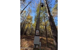 Perry Chapel Road, Ashland, MS 38603