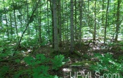 TBD E SHORE, Bergland, MI 49910