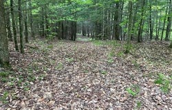 14785 UPHAM Lane, MOUNTAIN, WI 54149-0000