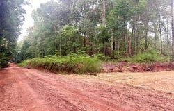 179 Tyson Lane, Greenville, AL 36037