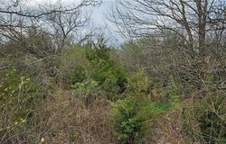 S State Route D Highway, Drexel, MO 64742