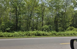 1220 Blue Hills Avenue, Bloomfield, CT 06002