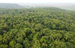78+/- Acres TBD W Blanding, HANOVER, IL 61041