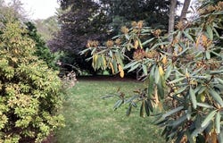 Glenoe Rd, Brookline, MA 02467