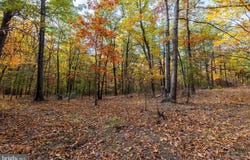 LUCAS HOLLOW RD, STANLEY, VA 22851