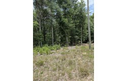 Christopher Lane, Crestview, FL 32539