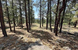 96 Woodridge Circle, Pagosa Springs, CO 81147