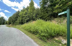 Lot 673 Chimney Rock Rd, New Tazewell, TN 37825